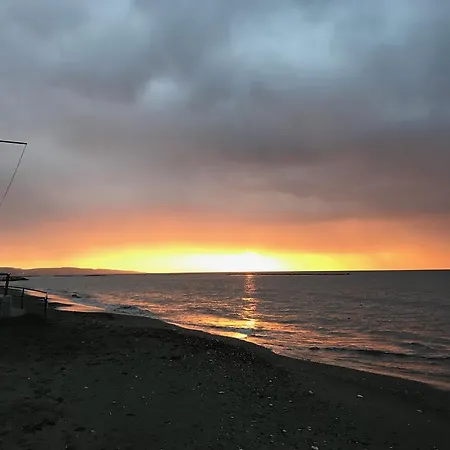 Athena Homes Apartament *